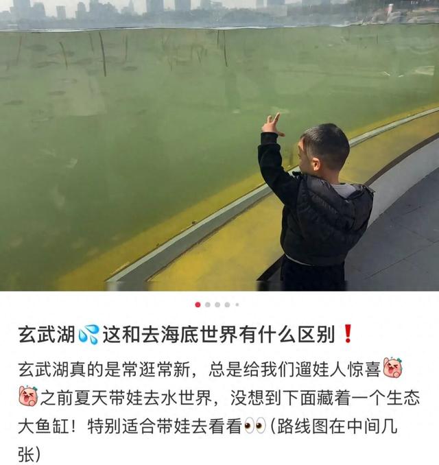 传疯了！玄武湖“大鱼缸”来了