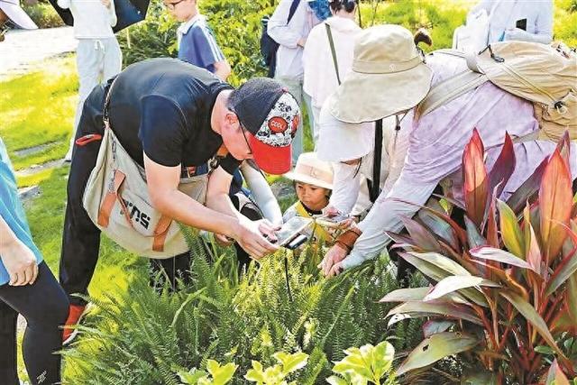 2025龙华区公园文化季启幕，邀市民放下手机走出家门遇见美好