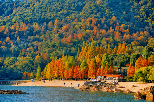 周末晴天“控场” 正是上山赏秋好时节~