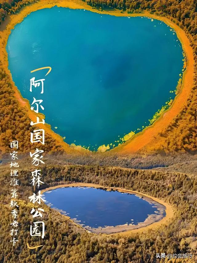为啥有人说阿尔山森林公园是体验最“差”的景区？不会去第二次？