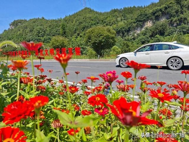 一路清凉！沿着249省道解锁19℃的夏天