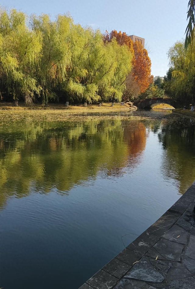 大学女生校内溺亡，同学通过手机定位发现“她在水里	”；家属：夜间参加游戏时出事，校方提供监控只看到“水的波纹在动”