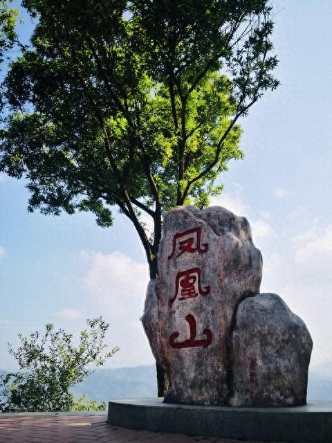 逃出快轨车攻略（逃离城市计划凤凰山全攻略）