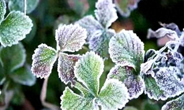 “上午立冬大雪封门，下午立冬单衣过冬”，今年立冬在哪？