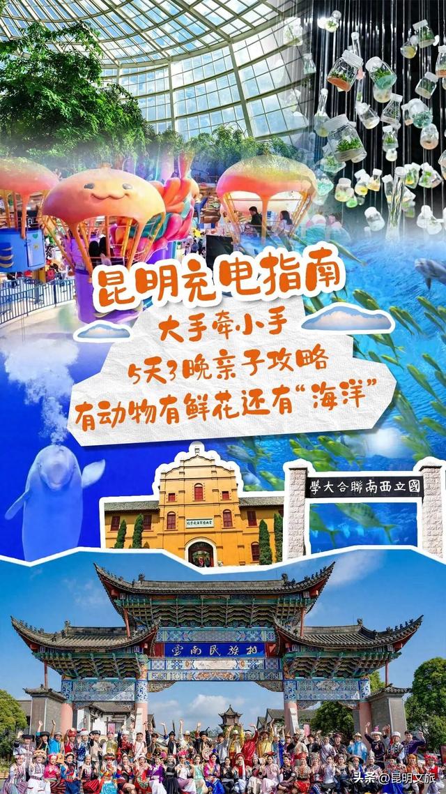 纯攻略！昆明5天3晚亲子游等你来：有动物有鲜花还有“海洋”……
