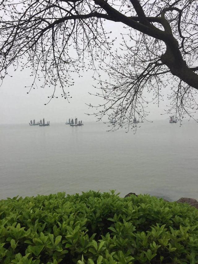 详细阅读:无锡,一座被气候“PUA”的城市 无锡,一座被气候“PUA”的城市