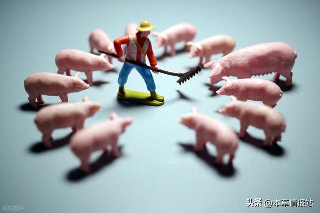 100立方沼气池建设费用（规模化养猪成本拆解100头猪的真实成本清单与利润空间）