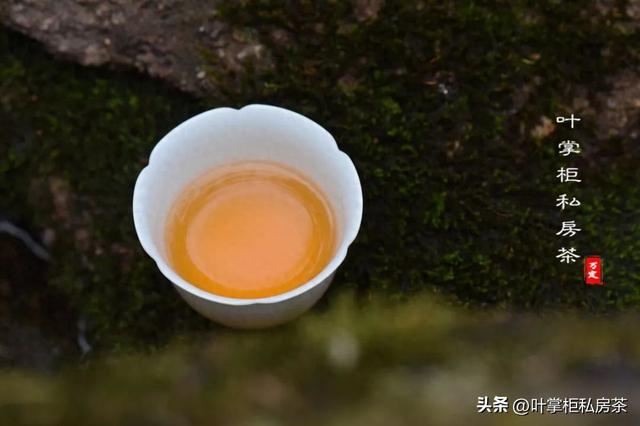 普洱白茶适合什么季节喝（告别喝茶纠结症老白茶红茶熟普洱）