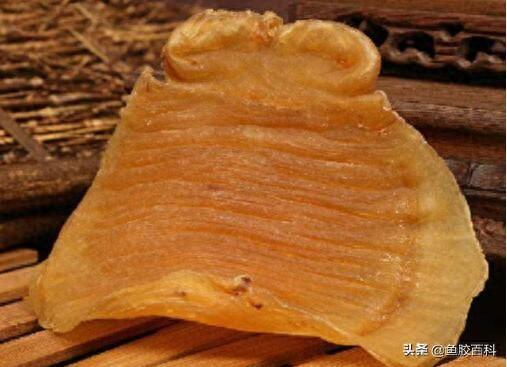 花胶长虫子了 花胶长虫子了怎么办