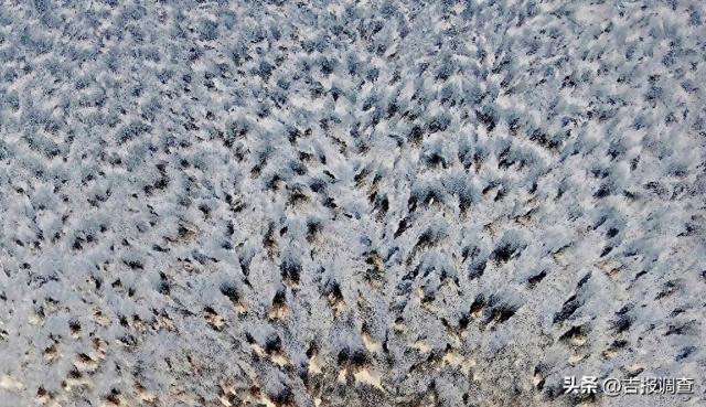 天寒地冻的东北，藏着最美的冰窗花！