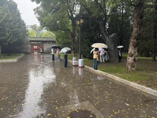 踩踏草坪、往树上塞纪念品，地坛公园“明星树”也有苦恼
