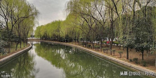 碧玉妆成一树高中的一树是什么意思（原来碧玉妆成一树高中的碧玉是这样理解的）