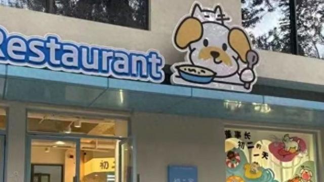 带着“毛孩子”去撒欢！长三角再添宠物友好度假新地标