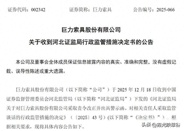 巨力索具被罚，账目乱套高管兼职，治理老毛病藏不住了