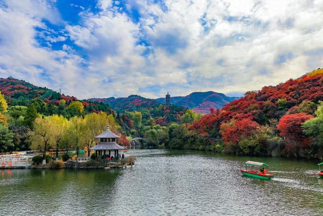 提前染红！济南红叶谷“红”得比往年早，漫山红叶惹人醉