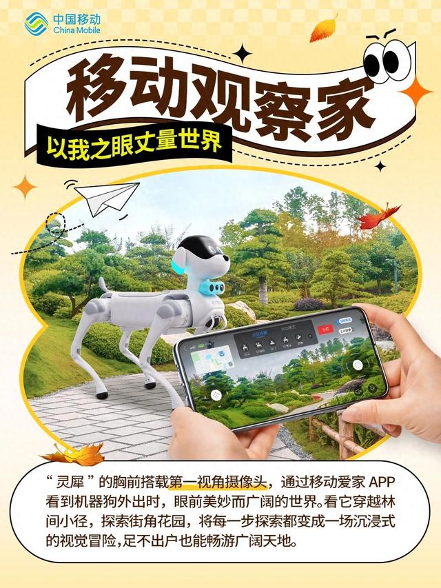 今天，介绍一位“新朋友”🤩🤩🤩