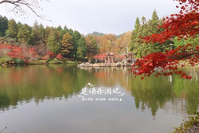 美到封神？余姚这处风景确实名不虚传，斑斓风景正值最佳观赏季