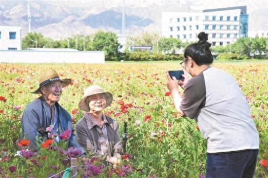德令哈：“花海”引客来 生态观光拓路宽
