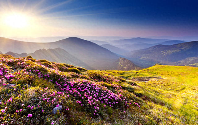 【美丽四川】我在海花沟‖李后强