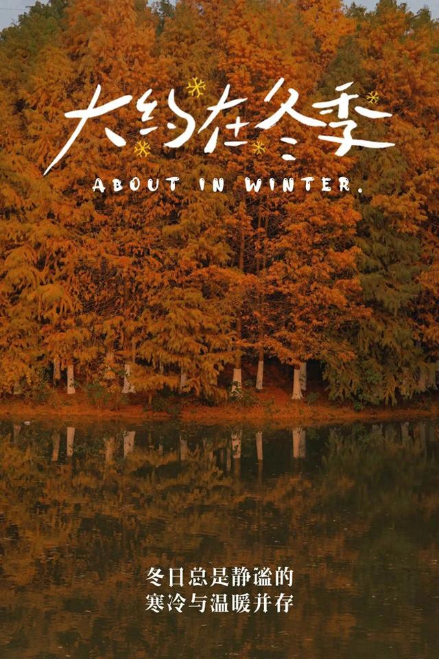 串场河畔，藏着 “橙黄橘绿” 的浪漫暴击~