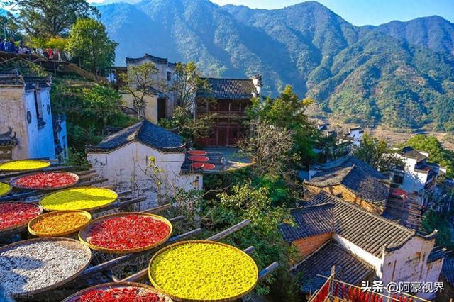 “上午立秋冷飕飕，下午立秋热死牛”，今年立秋几点？有啥说法？