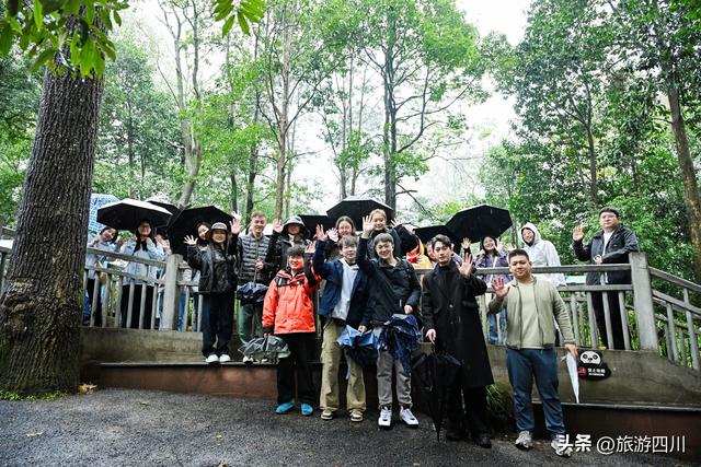 第二届“大熊猫粉丝四川游”全球发布活动在雅安启幕 跨界联动打造沉浸式熊猫文旅新体验