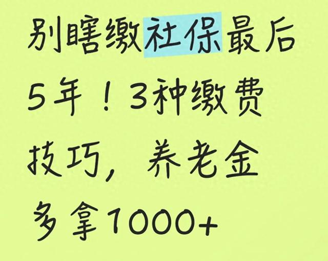 别瞎缴社保最后5年!3种缴费技巧,养老金多拿1000+