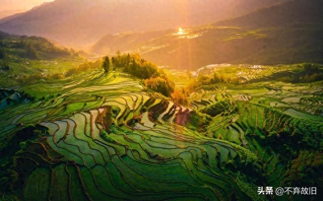 夫妻到晚年还挤一张床的	，多半都是这三类人，你是哪一类呢？