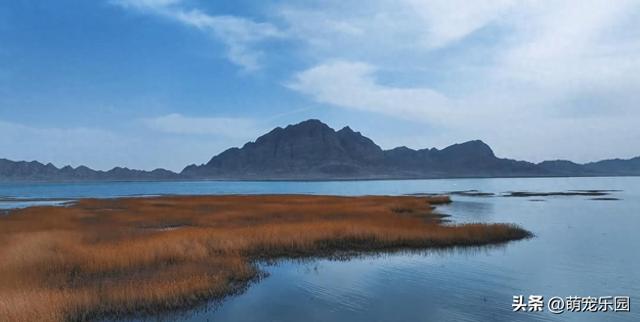 南疆腹地寻净土，冬日湖光映雪峰，都市人终于找到心灵归宿