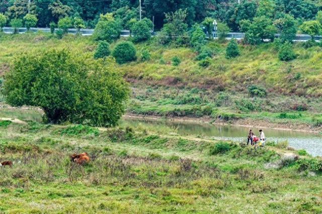 秋游白沙河草甸