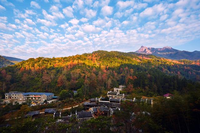 绿美广东入画来！广东以“艺”笔强化生态文化建设