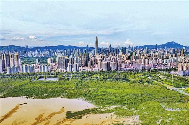 国际红树林之夜今日启幕