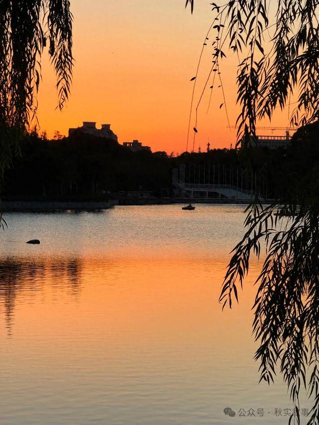 秋日的大宁公园简直美的不像话,推荐上海的朋友周末去玩