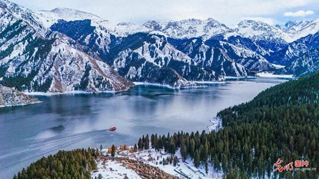 雪后云杉映天池 水墨丹青入画来