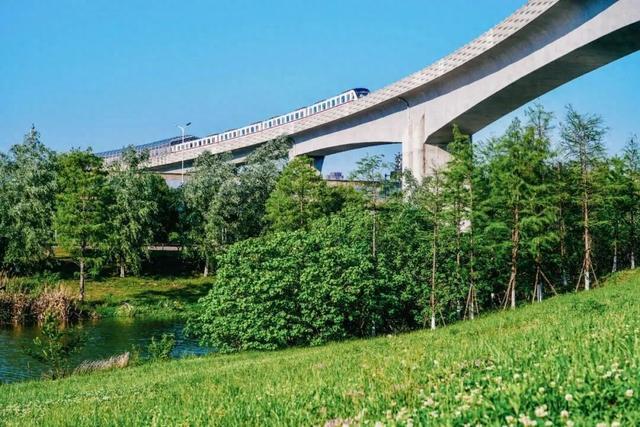 免费+市区！武汉这5 处宝藏露营地，地铁可达