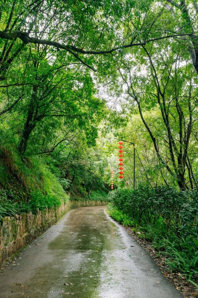 红河弥勒有个雨天好去处，高空森林氛围感超绝，还能解锁隐藏体验