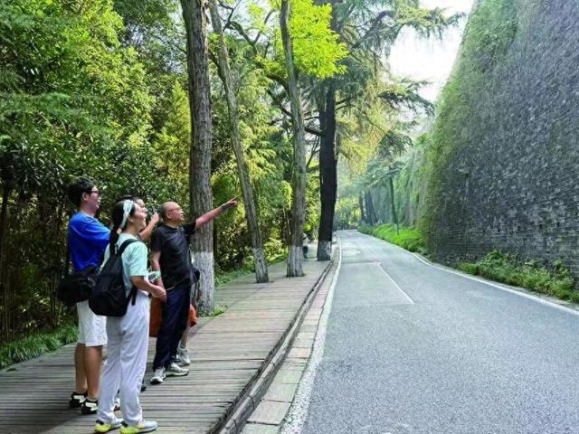 南京“虎踞龙蟠徒步线”为市民开辟“文径”