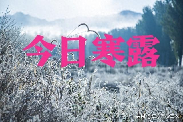 “上午寒露雪堵门，下午寒露穿单衣”，今年寒露在几点？答案来了