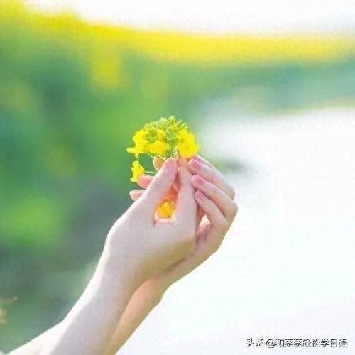 汉化嫉妒攻略下载（日语单词轻松记妬み）