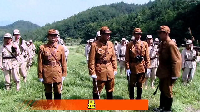 2025年11月4日 第17页