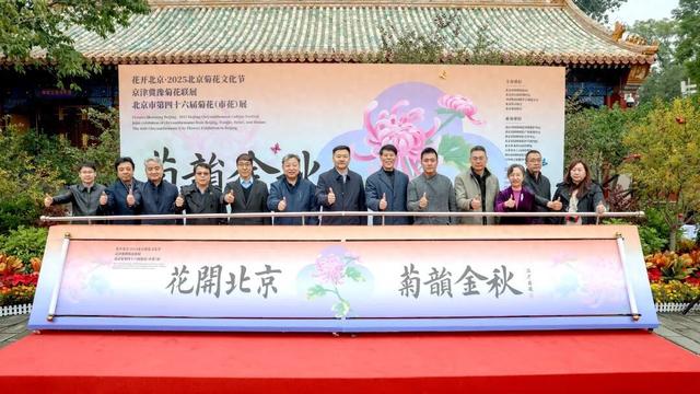“花开北京·菊韵金秋” 2025北京菊花文化节在北海公园启幕 | 动态