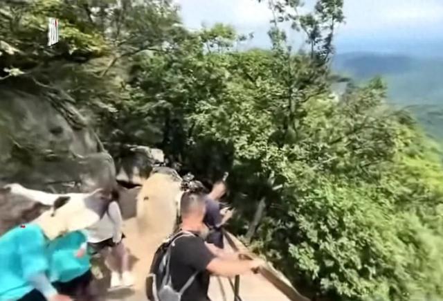 痛心！一景区游客坠崖身亡！事发时坐栏杆上不慎后仰坠落！妻子眼睁睁看着丈夫掉下悬崖