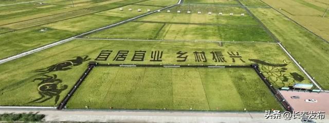 走进长春！150个网红打卡地之稻渔综合种养示范基地