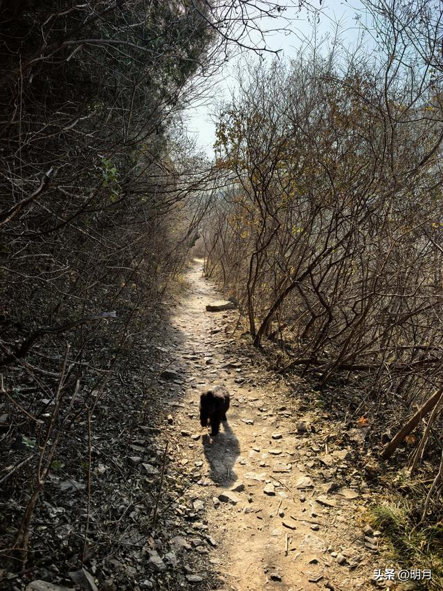 马蹄峪、白云泉、扁石山、雪山徒步小环线