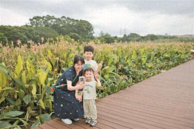 一天处理尾水4.5万立方米！龙华这个公园是一个大型“净水池”