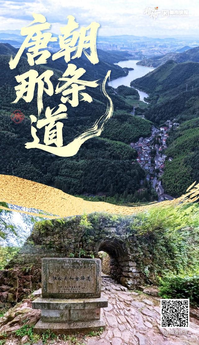 唐朝那条道