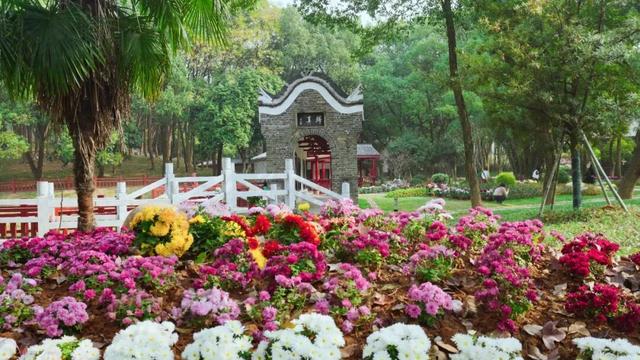 让千年诗意可触可感！九江市柴桑区政协助力擦亮“渊明故里”文化名片