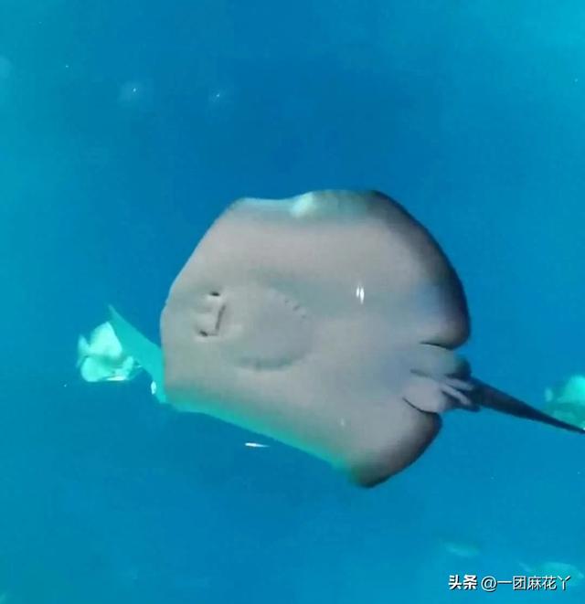 一点儿力气也没有了，上车就睡着了