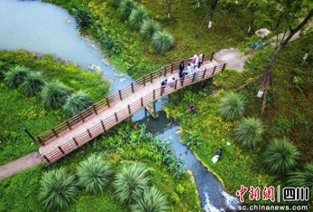 成都影视城联动青杠树景区成短剧“主战场”