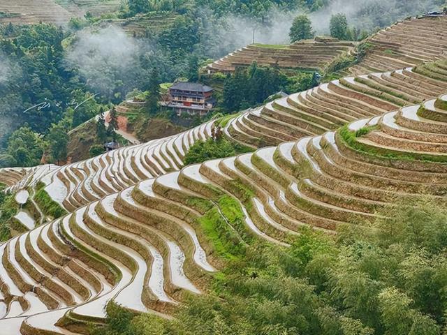 广西有个“奇怪”的旅游景点，原本只是农田，现在却是4A级景区？